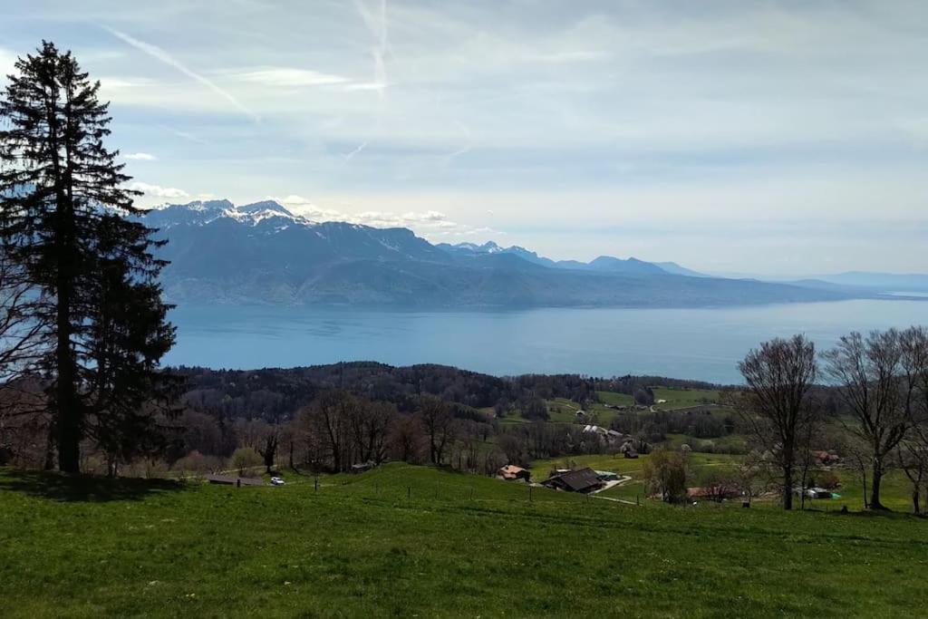 Appartement T2 Ideal Pour Une Famille Thollon-les-Memises Esterno foto